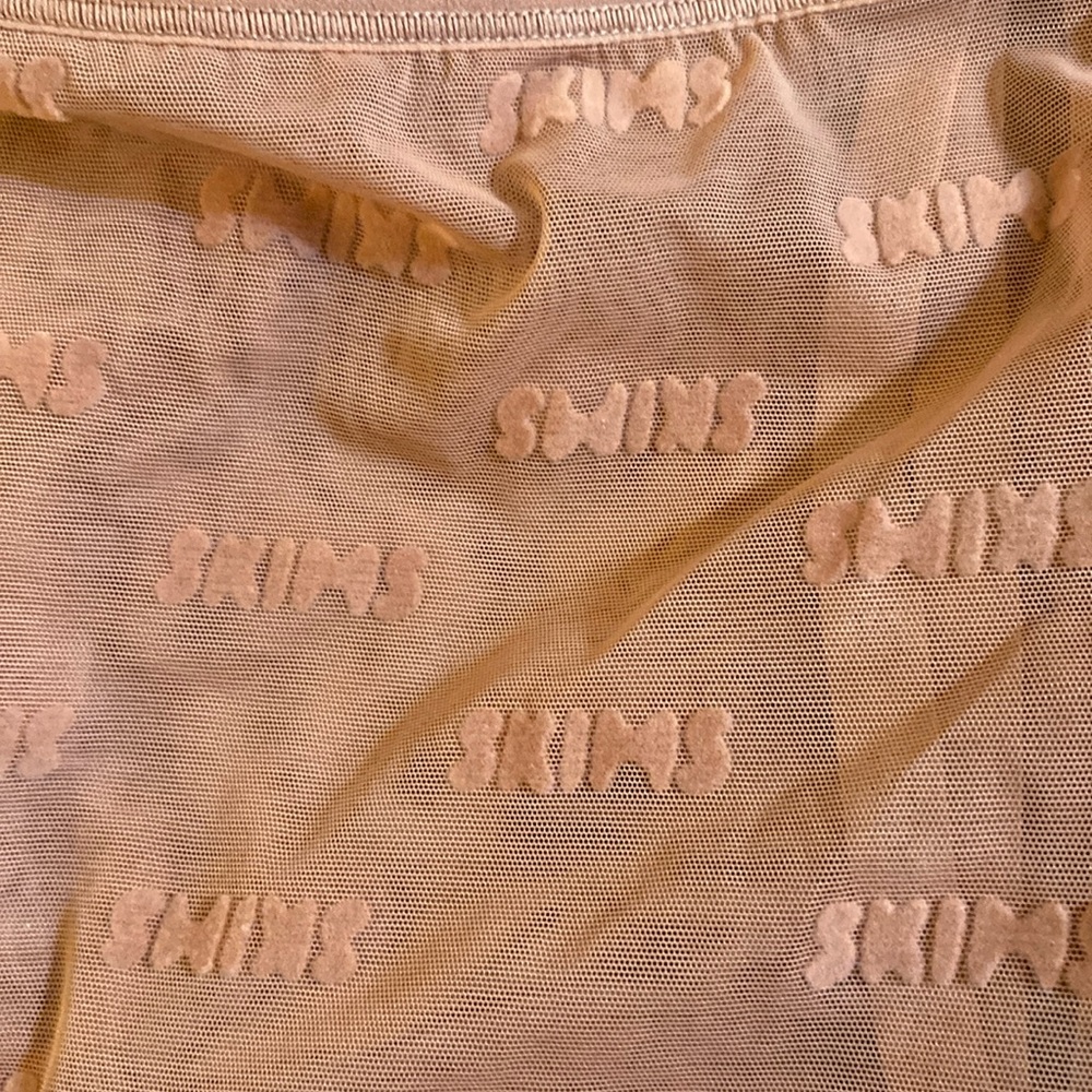 Skims Sheer Bodysuit (Thong) Rose Clay
